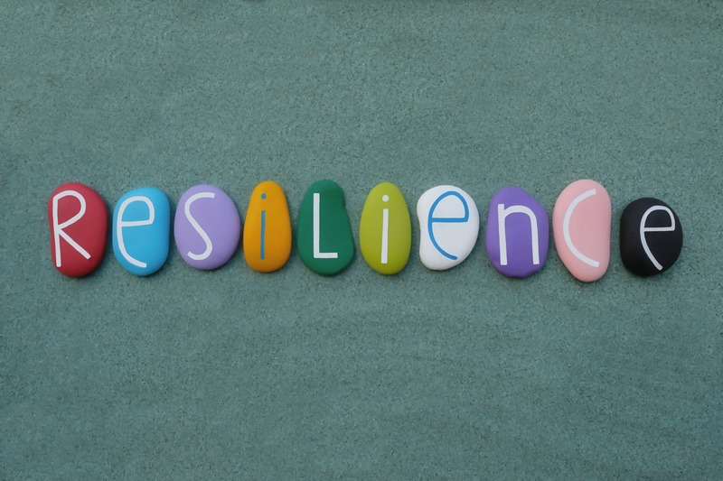 ¿Que es la resiliencia?